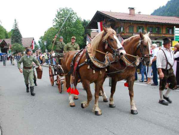 Bezirksmusikfest Going 2010